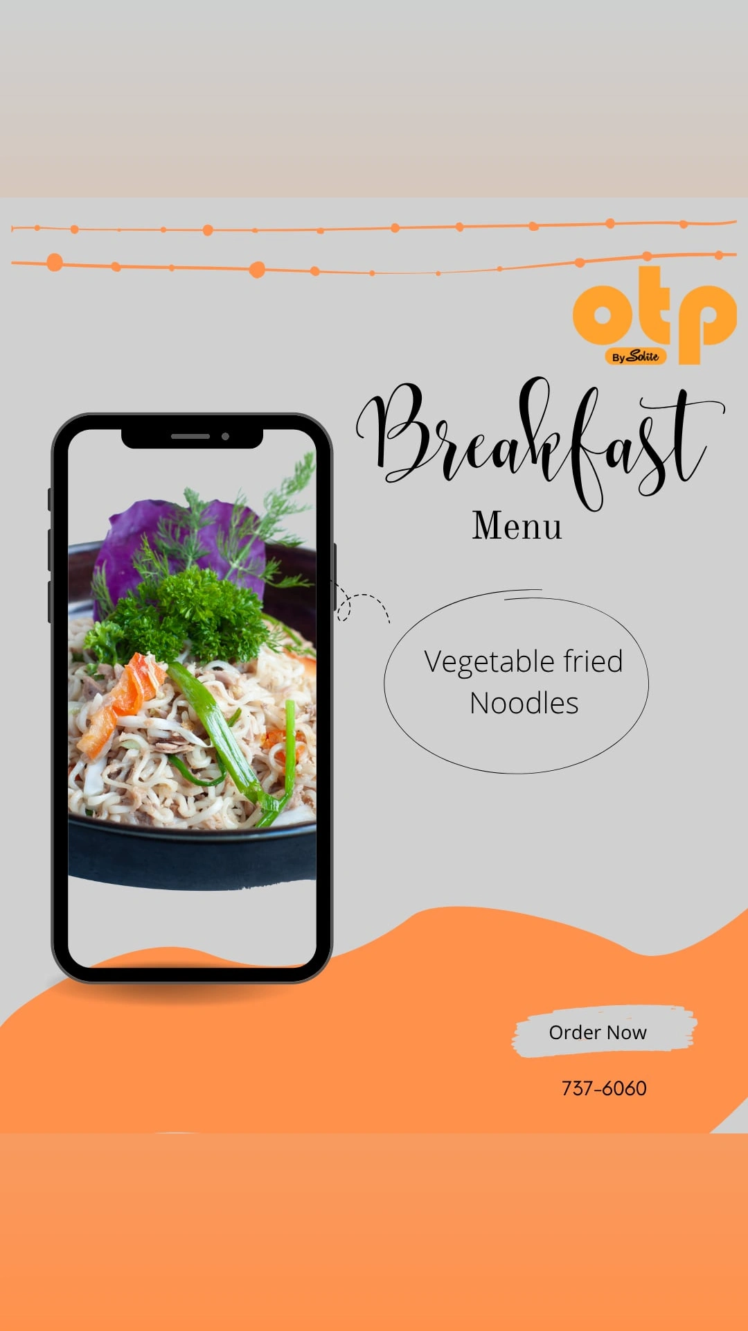 Vegetable Fried Noodles